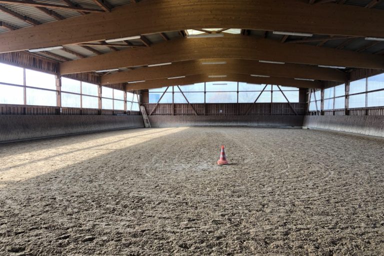 Reitunterricht für Kinder und Erwachsene